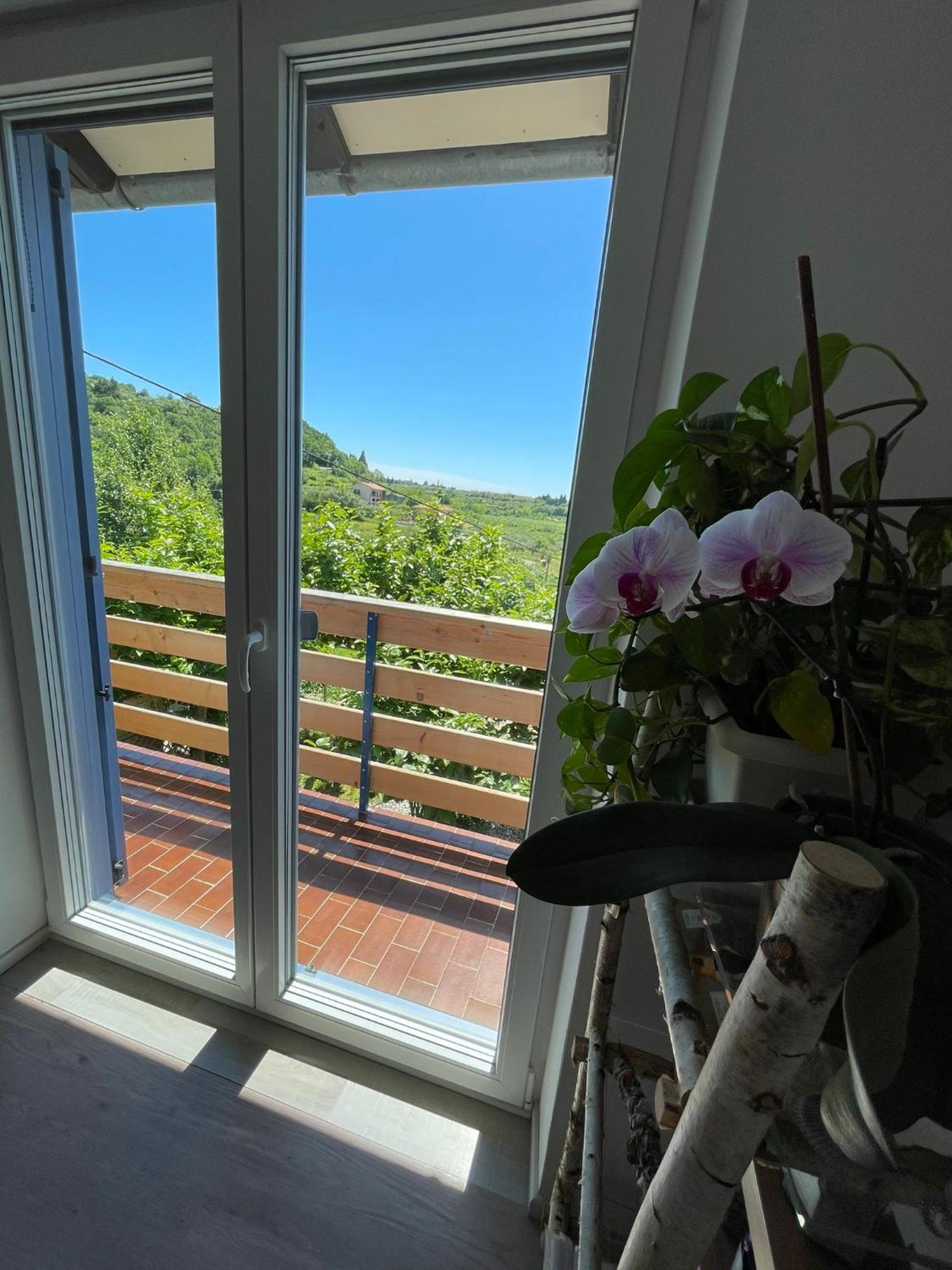 Apartma Salvia-Guest House Lucija Εξωτερικό φωτογραφία