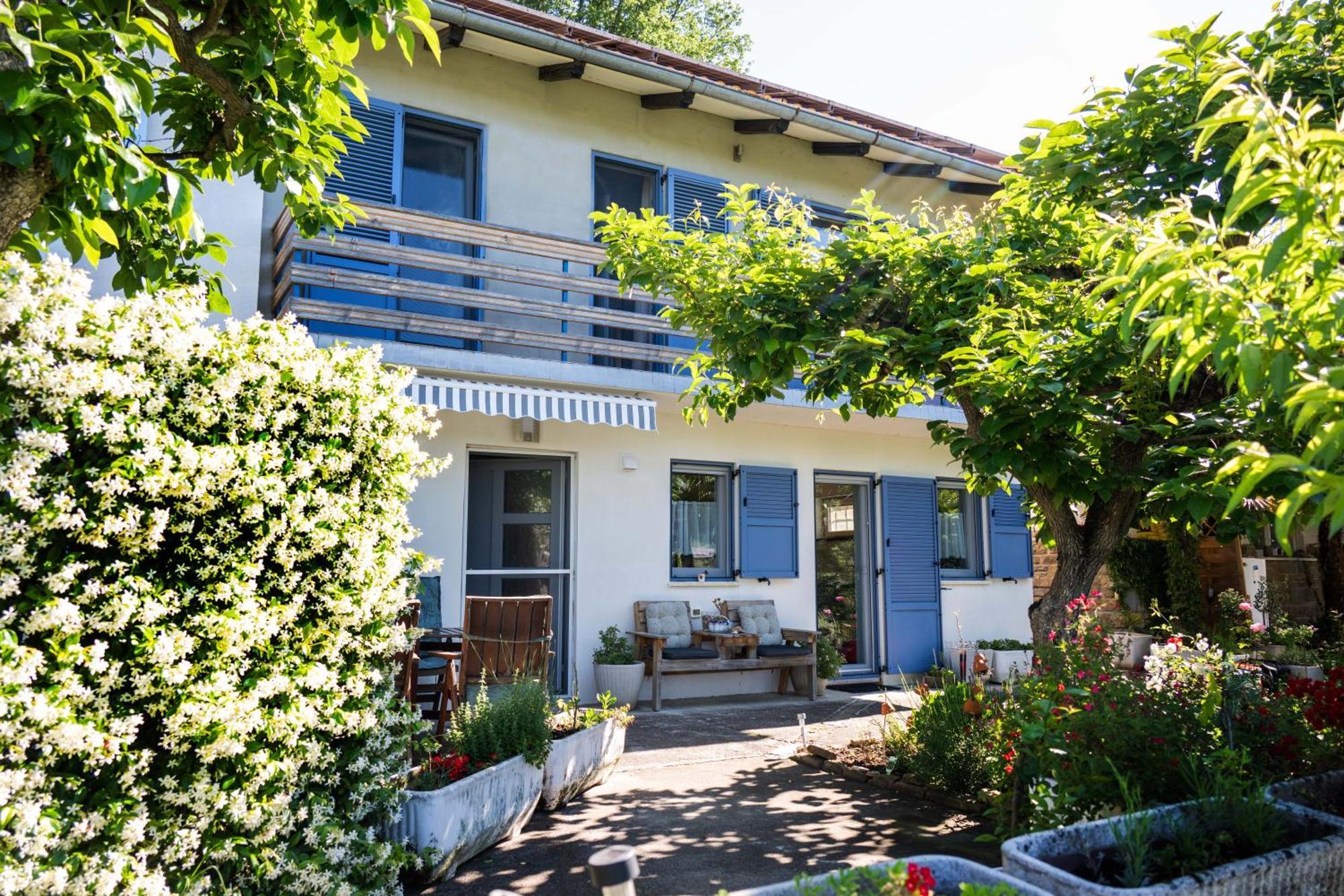 Apartma Salvia-Guest House Lucija Εξωτερικό φωτογραφία